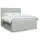 vidaXL Boxspringbett mit Matratze Hellgrau 200x200 cm Samt