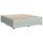 vidaXL Boxspringbett mit Matratze Hellgrau 200x200 cm Samt