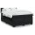 vidaXL Boxspringbett mit Matratze Schwarz 140x190 cm Samt