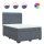 vidaXL Boxspringbett mit Matratze Dunkelgrau 140x190 cm Samt