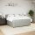 vidaXL Boxspringbett mit Matratze Hellgrau 200x200 cm Samt