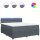 vidaXL Boxspringbett mit Matratze Dunkelgrau 200x200 cm Samt