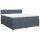 vidaXL Boxspringbett mit Matratze Dunkelgrau 200x200 cm Samt