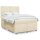 vidaXL Boxspringbett mit Matratze Creme 140x200 cm Stoff