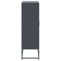 vidaXL Highboard Anthrazit 68,5x38,5x123,5 cm Stahl