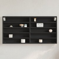 vidaXL Vitrinenschrank Schwarz 100x8,5x50 cm Holzwerkstoff