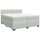 vidaXL Boxspringbett mit Matratze Hellgrau 200x200 cm Samt