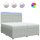 vidaXL Boxspringbett mit Matratze Hellgrau 200x200 cm Samt