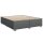 vidaXL Boxspringbett mit Matratze Dunkelgrau 200x200 cm Stoff