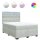 vidaXL Boxspringbett mit Matratze Hellgrau 140x190 cm Samt