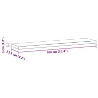 vidaXL Wandregale 2 Stk. 100x23,5x3 cm Silbern Edelstahl