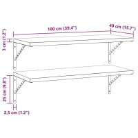 vidaXL Wandregale 2 Stk. 100x40 cm Silbern Edelstahl