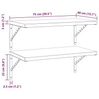 vidaXL Wandregale 2 Stk. 75x40 cm Schwarz Edelstahl