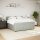 vidaXL Boxspringbett mit Matratze Hellgrau 200x200 cm Samt