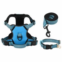 vidaXL Hundegeschirr mit Leine &amp; Halsband Verstellbar Blau S