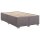 vidaXL Boxspringbett mit Matratze Grau 120x200 cm Kunstleder