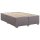 vidaXL Boxspringbett mit Matratze Grau 160x200 cm Kunstleder