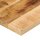 vidaXL Tischplatte 120x40x3,8 cm Rechteckig Raues Massivholz Mango