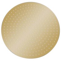 vidaXL Regenbrause Edelstahl 40 cm Rund Golden