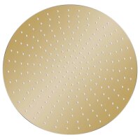 vidaXL Regenbrause Edelstahl 50 cm Rund Golden