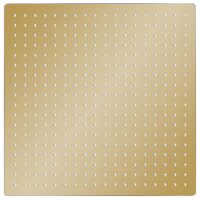 vidaXL Regenbrause Edelstahl 50x50 cm Quadrat Golden