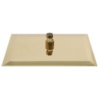 vidaXL Regenbrause Edelstahl 30x20 cm Rechteckig Golden