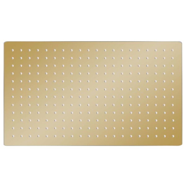 vidaXL Regenbrause Edelstahl 50x30 cm Rechteckig Golden