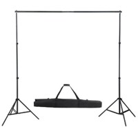 vidaXL Fotostudio-Set mit Gr&uuml;nem Hintergrund 600&times;300 &amp; Leuchten