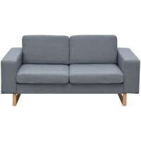 vidaXL 2-Sitzer Sofa Stoff Hellgrau