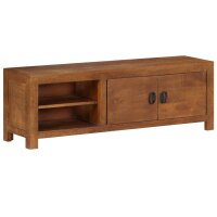 vidaXL TV-Schrank 120 x 40 x 30 Mango-Massivholz