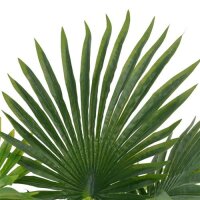 vidaXL K&uuml;nstliche Pflanze Palme mit Topf Gr&uuml;n 70 cm
