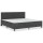 vidaXL Boxspringbett Dunkelgrau Stoff 200x200 cm