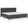 vidaXL Boxspringbett Dunkelgrau Stoff 200x200 cm