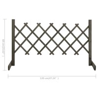 vidaXL Garten-Rankzaun Grau 120x60 cm Massivholz Tanne