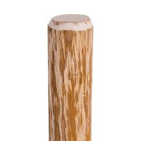 vidaXL Angespitzter Holz-Zaunpfahl 4 Stk. Haselnussholz 90 cm