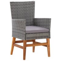 vidaXL 9-tlg. Garten-Essgruppe Poly Rattan Akazienholz Grau