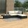 vidaXL 4-tlg. Garten-Lounge-Set mit Auflagen Poly Rattan Schwarz