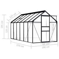 vidaXL Gew&auml;chshaus Anthrazit Aluminium 7,03 m&sup2;