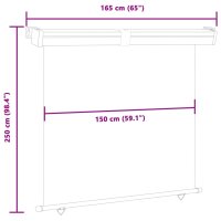 vidaXL Balkon-Seitenmarkise 160 &times; 250 cm Blau