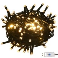 vidaXL LED-Lichterkette mit 300 LEDs Warmweiß 30 m PVC