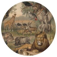 WallArt Fototapete Animals of Africa Rund 190 cm