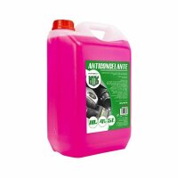 Frostschutzmittel Motorkit -4º 10% Rosa (5 L)